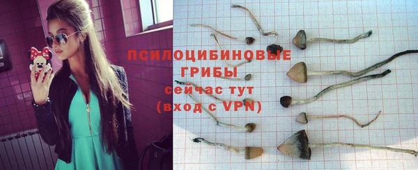 спиды Лабытнанги